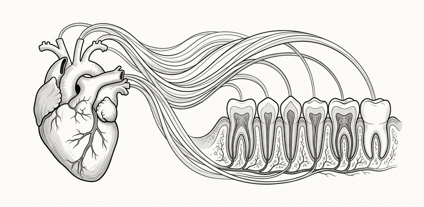 Le Lien Oral-Systémique : Parodontite et Maladies Cardiovasculaires - Preuves Cliniques et Implications Pratiques